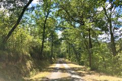 The chateau has its own 1.5km private road leading to the chateau gates