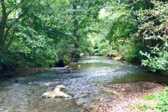 Explore the walks in the chateau’s parkland and forest and by the river