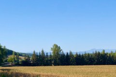 Road to Saint Laurent, where the chateau is nestled in its own private valley