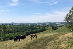 360 degree panoramas in the hills just above Saint Laurent