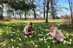 Spring comes early to the chateau’s parkland